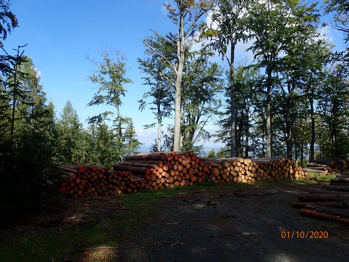 PA013714.JPG