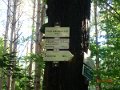 PA013686