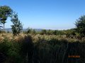 PA013695