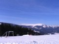 IMG_5232
