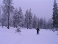 IMG_5270