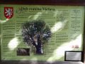 IMG_20200727_090211