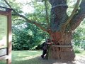 IMG_20200727_090218