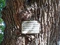 IMG_20200727_090318