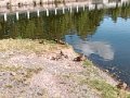 IMG_20200727_093508