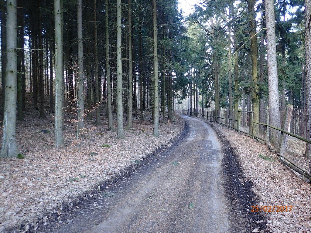 P2250276.JPG