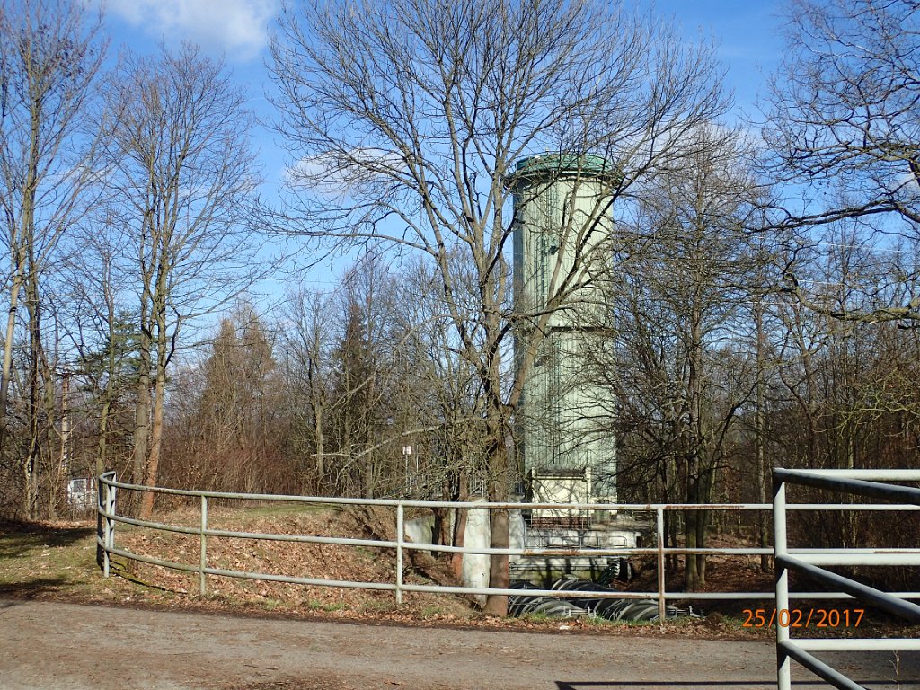 P2250309.JPG