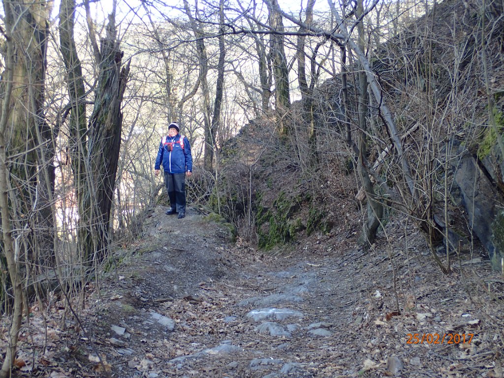 P2250311.JPG
