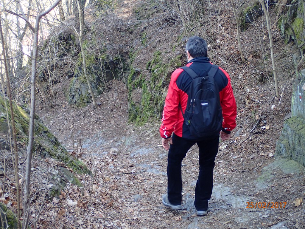 P2250312.JPG