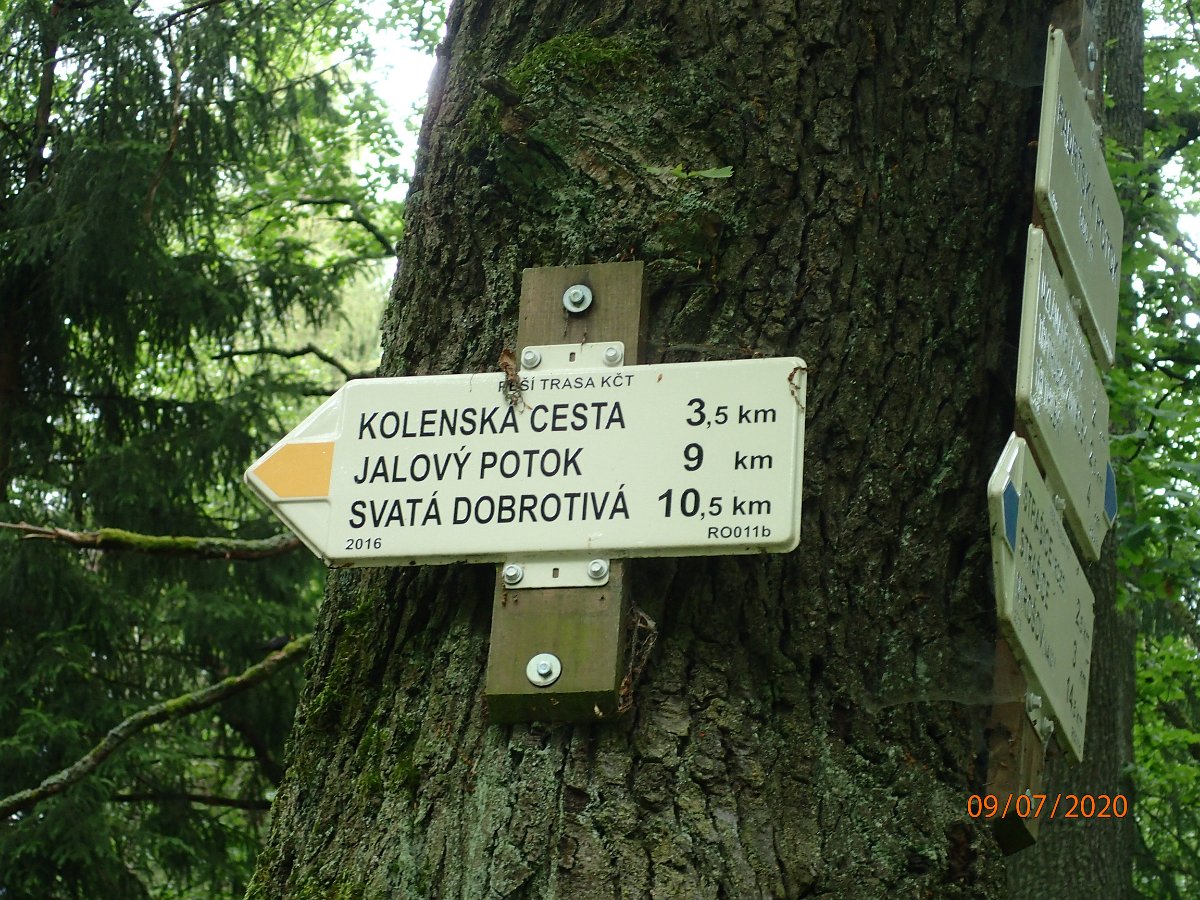 P7093169.JPG