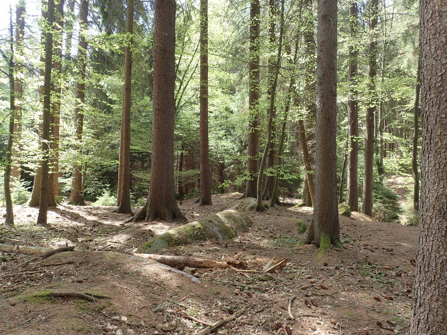 P4261661.JPG