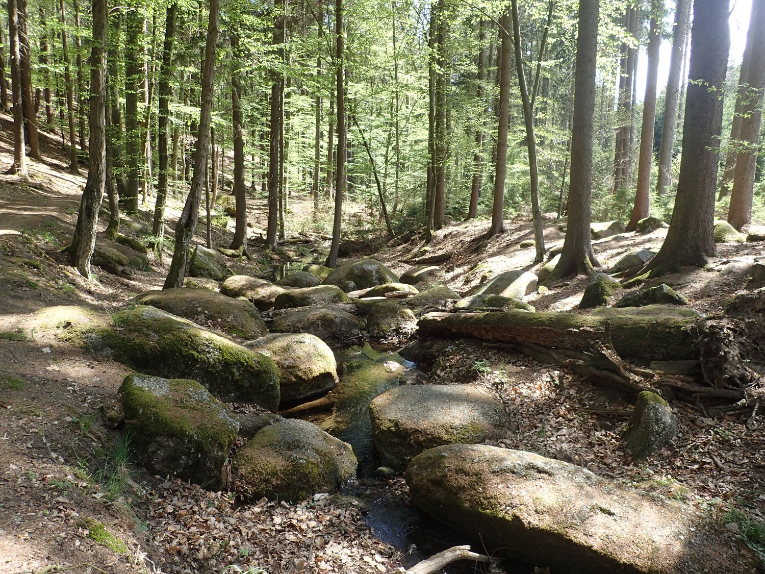 P4261662.JPG