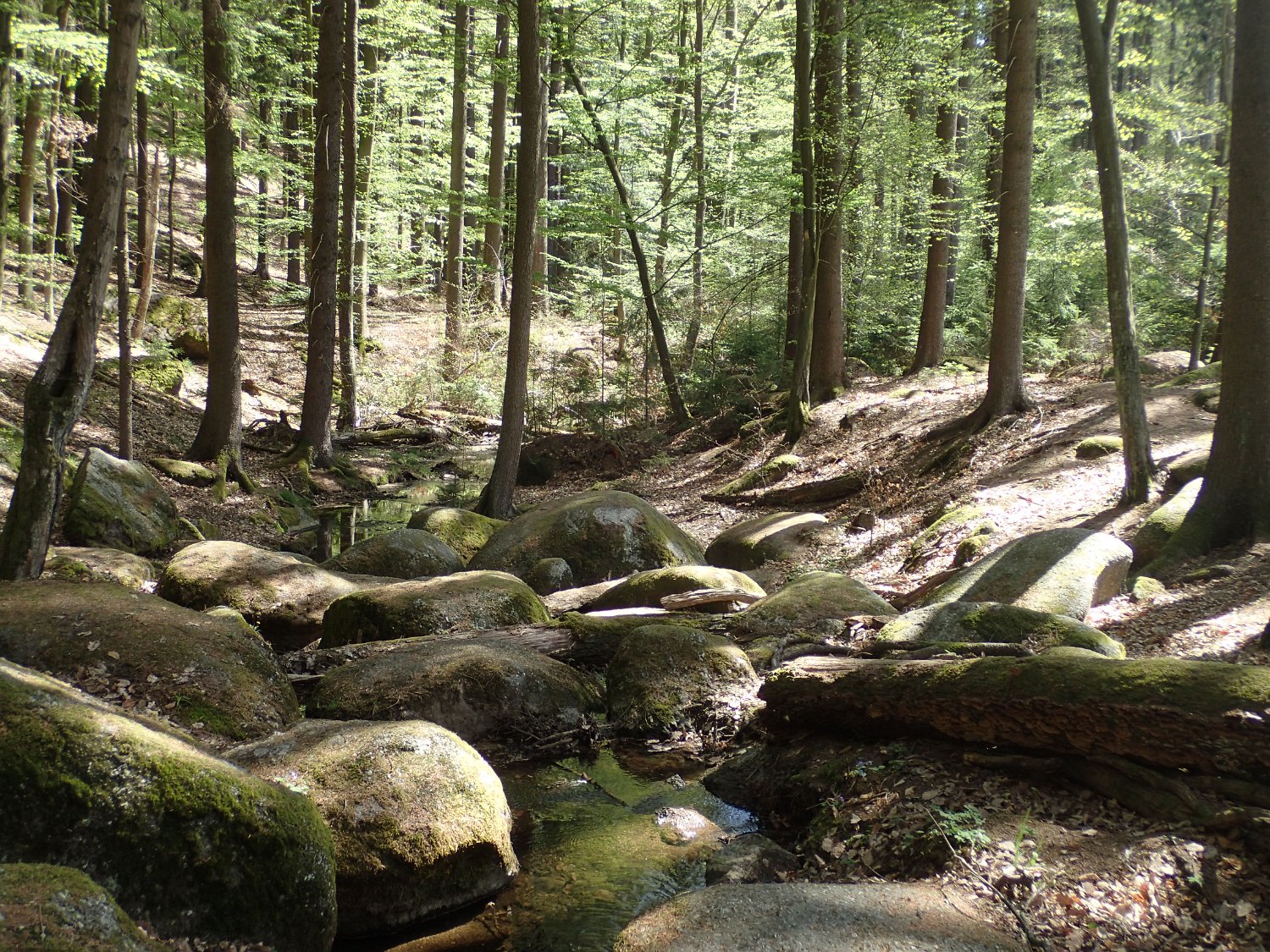 P4261663.JPG