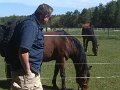 IMG_20190426_103852