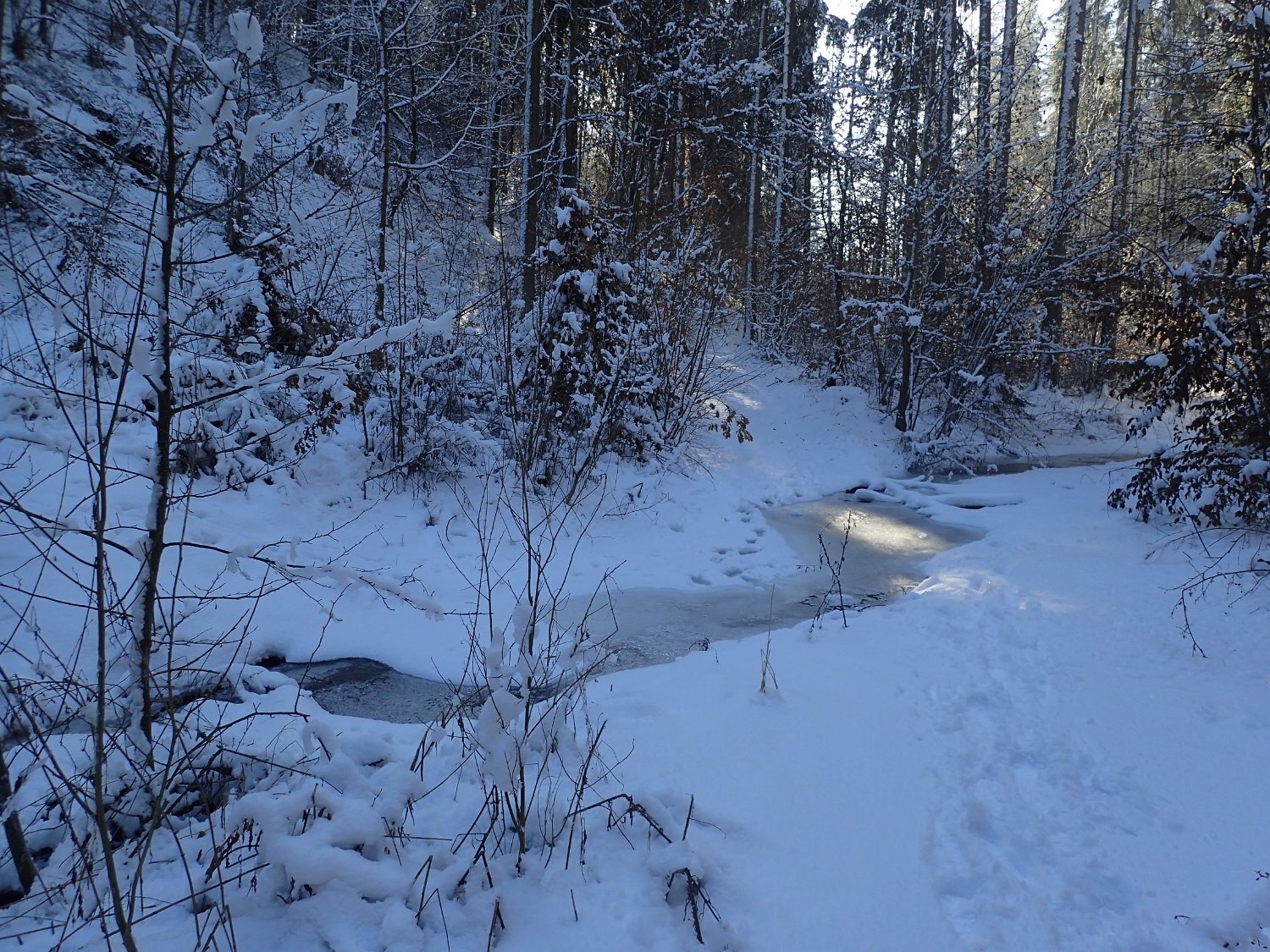 P2051466.JPG