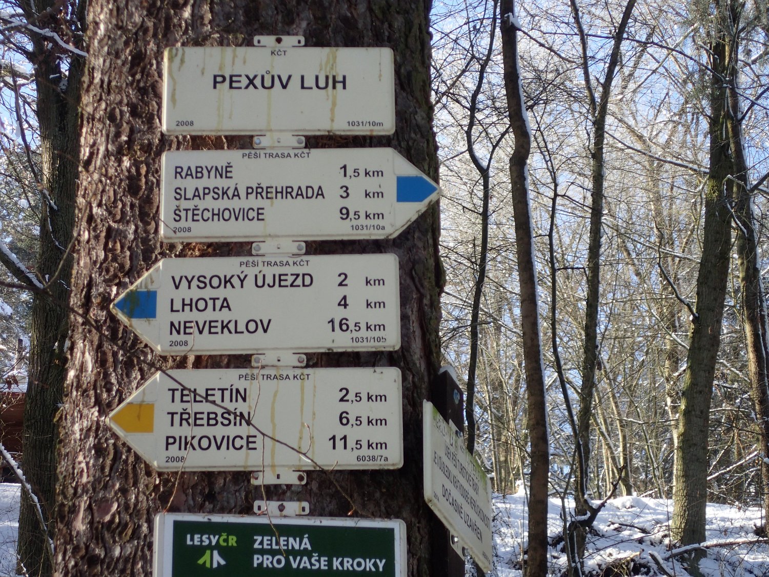 P2051471.JPG