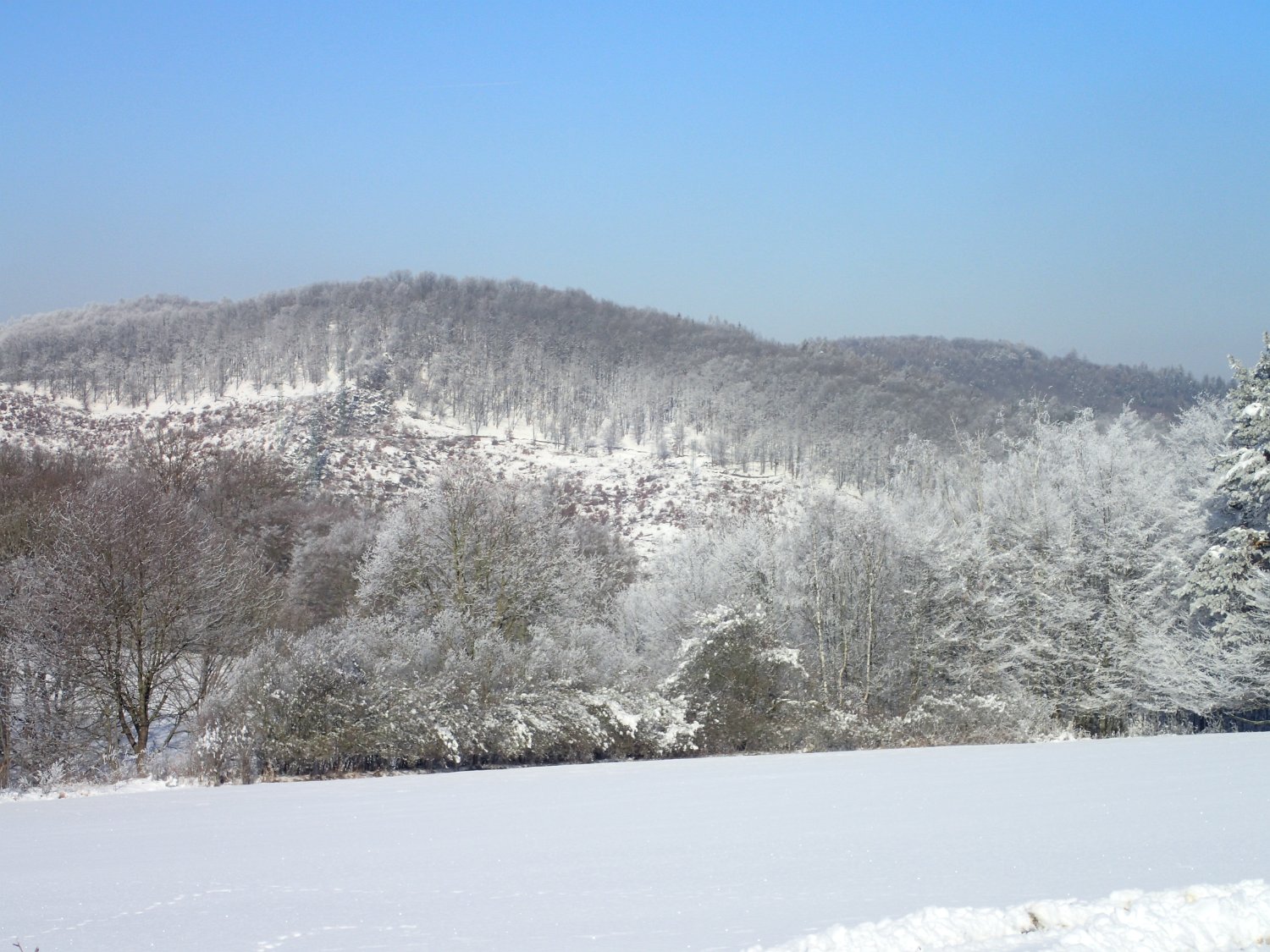 P2051482.JPG