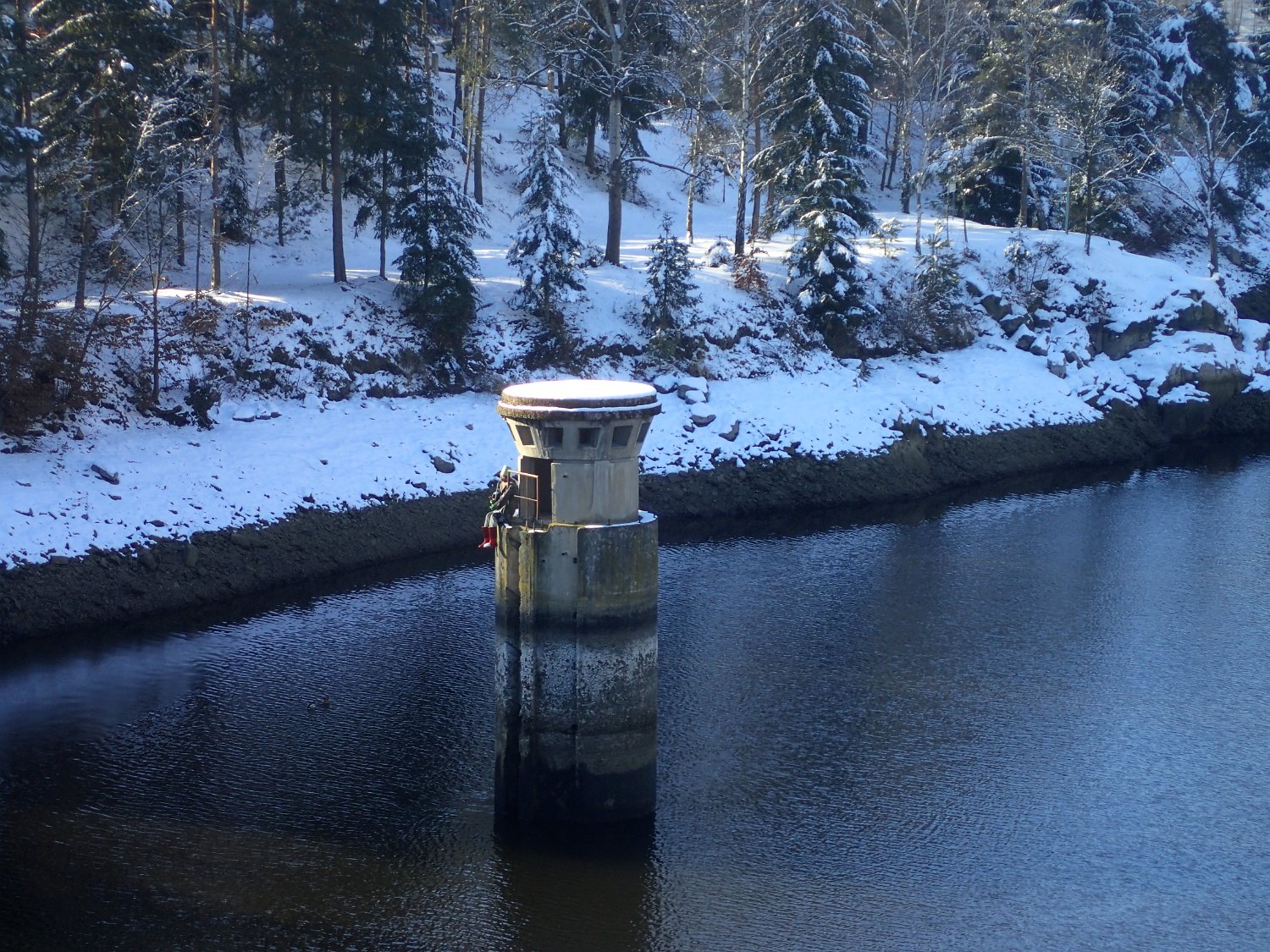P2051493.JPG