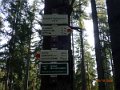 PA203826